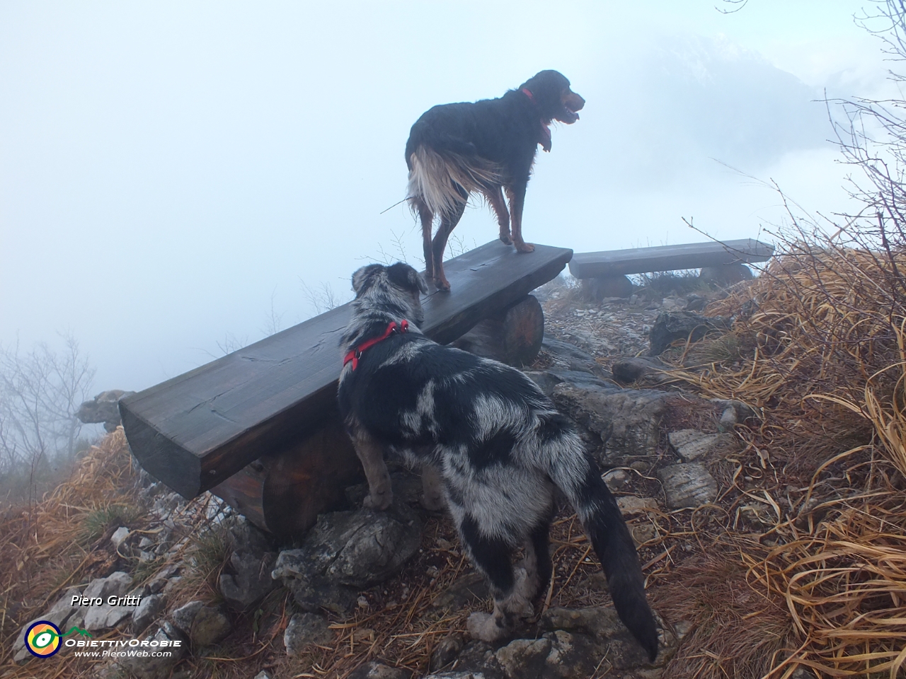 56 panchine panoramiche su...nebbia....JPG